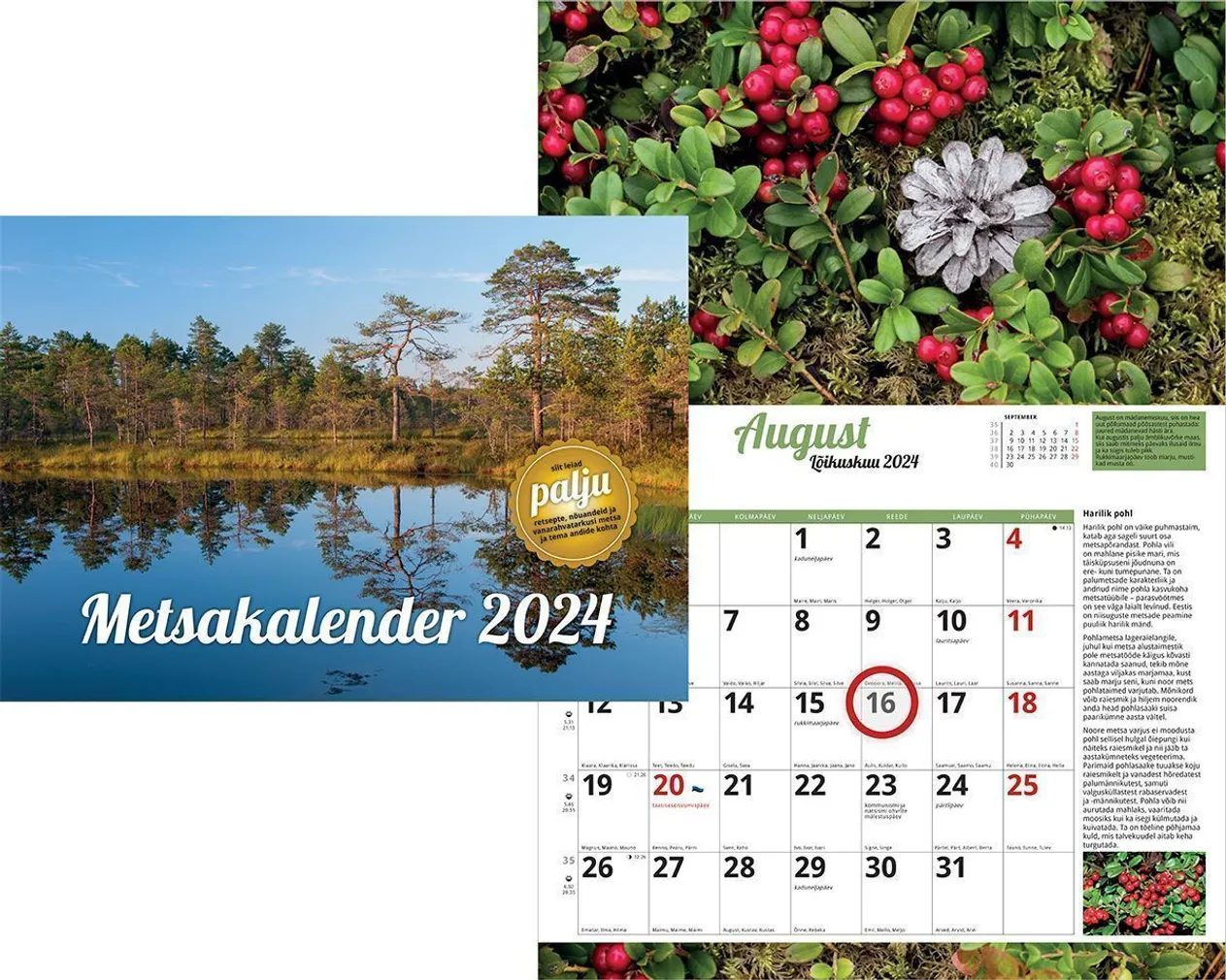 SEINAKALENDER SULEMEES METSAKALENDER 290X430MM