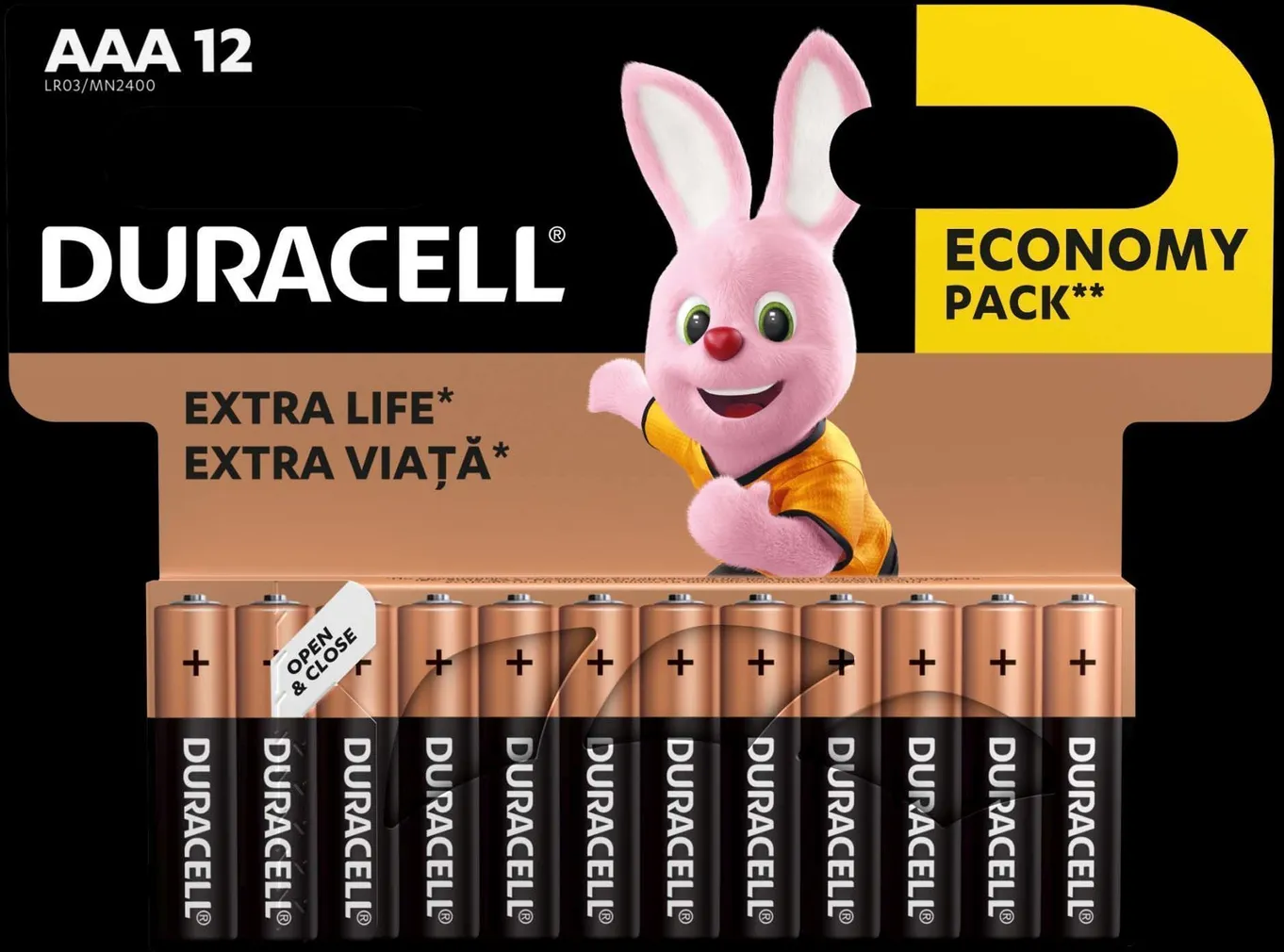 PATAREI DURACELL BASIC AAA 12TK PAKIS