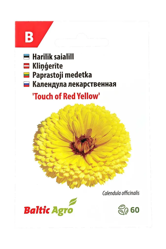 SEEMNED BALTIC AGRO SAIALILL 'TOUCH OF RED YELLOW' KOLLANE, 60S