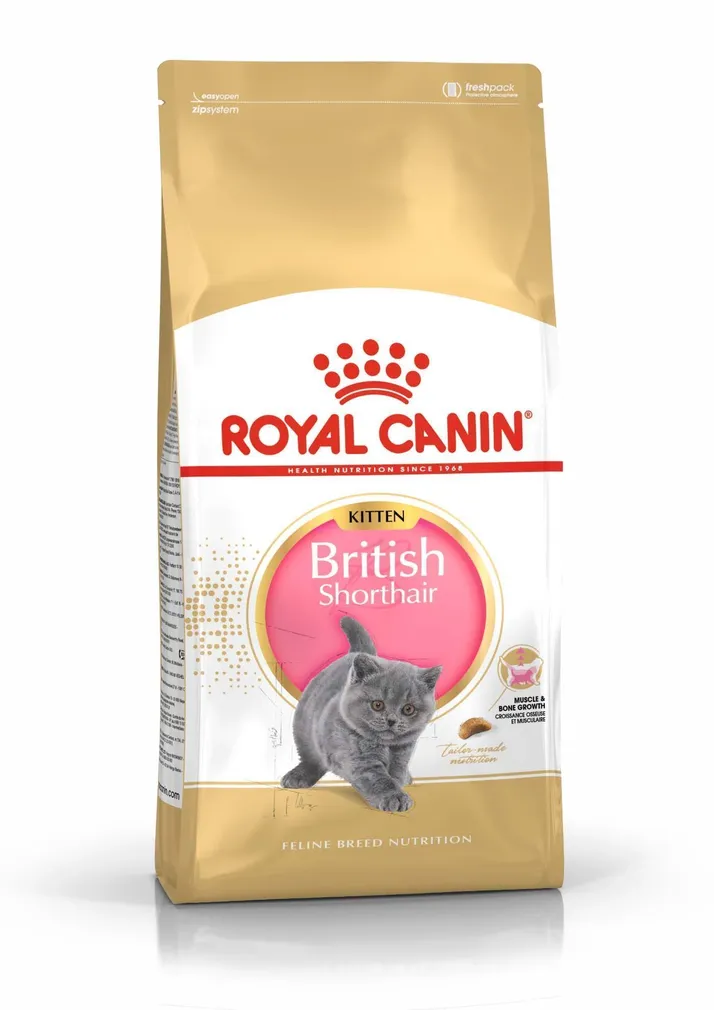 KUIVTOIT ROYAL CANIN KASSIPOJALE BRITISH SHORTHAIR 2KG