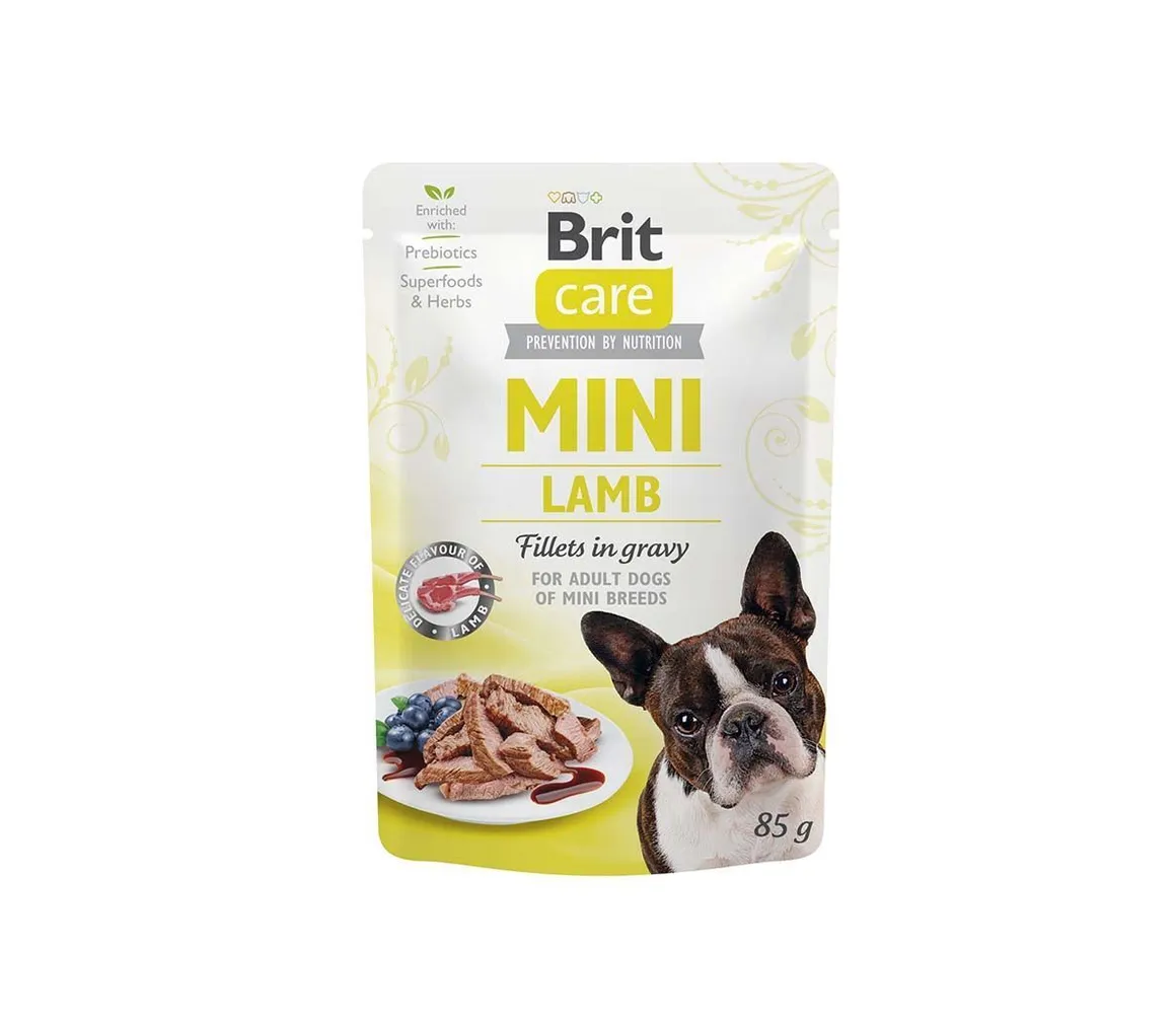 MÄRGTOIT BRIT CARE MINI KOERALE MINI LAMBAFILEED KASTMES 85G