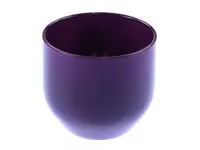 LILLEPOTIÜMBRIS PURE VIOLET 820 /14CM