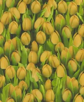 NIISKUSKINDEL SEINAKATE SINTRA DECORATION KOLLANE TULP 0,53X10,5M