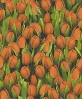 NIISKUSKINDEL SEINAKATE SINTRA DECORATION ORANŽ TULP 0,53X10,5M