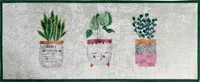 KÖÖGIVAIP ARDENZA CACTUS 60X150CM