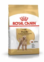 KUIVTOIT ROYAL CANIN KOERALE POODLE 1,5KG