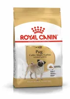 KUIVTOIT ROYAL CANIN KOERALE PUG 1,5KG