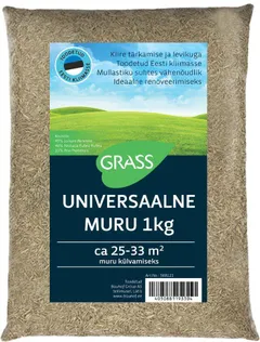 MURUSEEME UNIVERSAALNE MURU 1KG