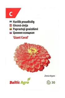 SEEMNED BALTIC AGRO PRUUDISÕLG 'GIANT CORAL' ROOSAD TÄIDISÕIED, 30S