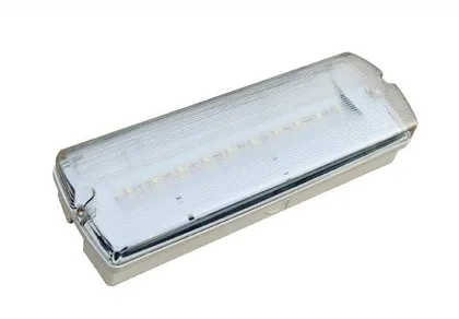 EVAKUATSIOONIVALGUSTI DP-630LED 1,5W IP65