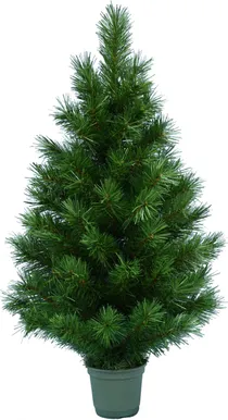 KUNSTKUUSK SCOTS PINE 90CM