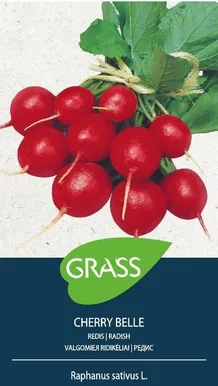 REDIS GRASS CHERRY BELLE