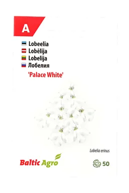 SEEMNED BALTIC AGRO LOBEELIA 'WHITE PALACE' VALGE, 50 PILLI