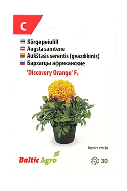 SEEMNED BALTIC AGRO PEIULILL 'DISCOVERY ORANGE' F1, ORANŽ KERA, 30S