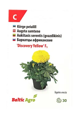 SEEMNED BALTIC AGRO PEIULILL 'DISCOVERY YELLOW'F1, KOLLANE KERA, 30S