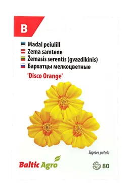 SEEMNED BALTIC AGRO PEIULILL 'DISCO ORANGE' ORANŽID LIHTÕIED, 80S