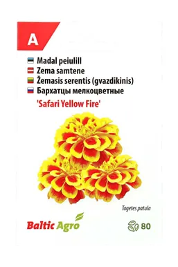 SEEMNED BALTIC AGRO PEIULILL 'SAFARI YELLOW FIRE', 80S