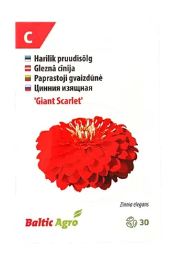 SEEMNED BALTIC AGRO PRUUDISÕLG 'GIANT SCARLET'PUNASED TÄIDISÕIED, 30S