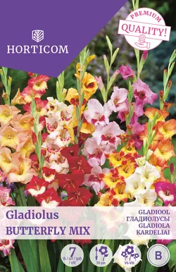 GLADIOOL BUTTERFLY MIX 7TK