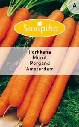 KÖÖGIVILJASEEMNED SUVIPIHA PORGAND AMSTERDAM VARAJANE