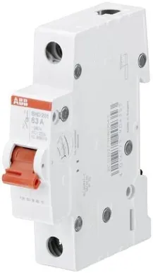 PEALÜLITI ABB 1F 25A
