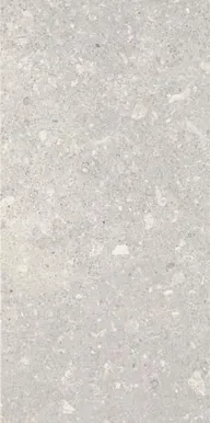 SEINAPLAAT PARADYZ ARAGORN LIGHT GRYS 30X60CM