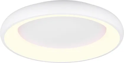 LAELAMP TRIO CARDONA LED 62CM 649616031 MATT VALGE