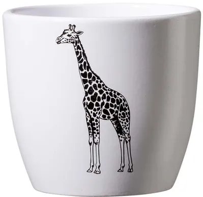 ÜMBRISPOTT SK SAFARI Ø10CM, KAELKIRJAK