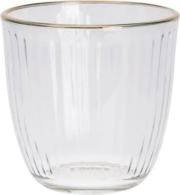 JOOGIKLAAS 295ML KULDSE ÄÄREGA