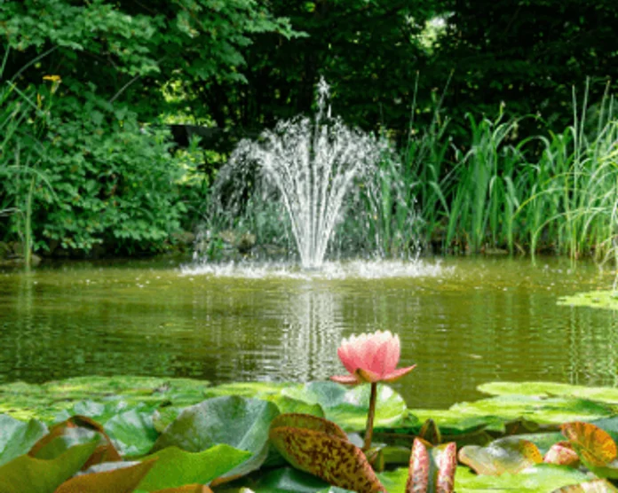 Kategooria pilt: Aiaveekogud