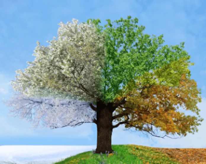 Kategooria pilt: Hooajakaubad