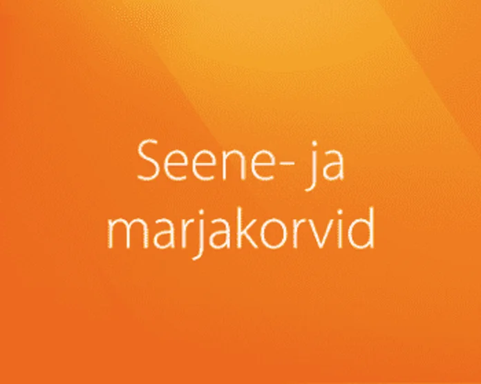 Kategooria pilt: Seene- ja marjakorvid