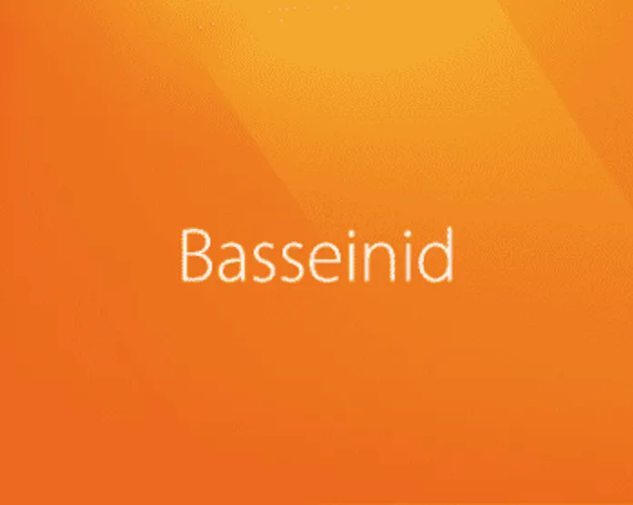 Basseinid